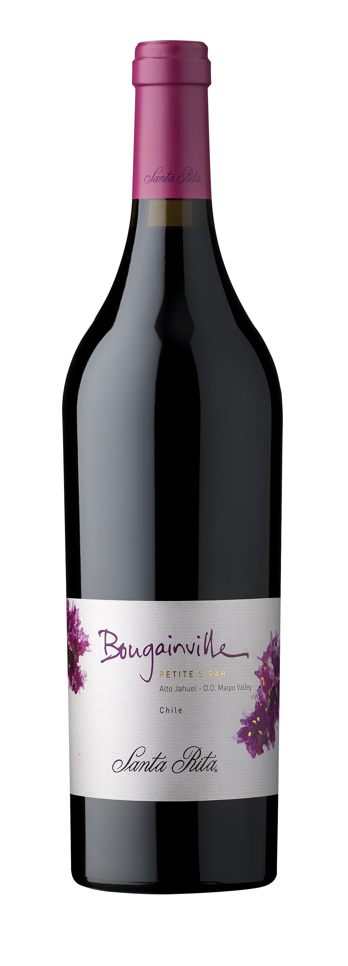 FW SANTA RITA BOUGAINVILL 75X6